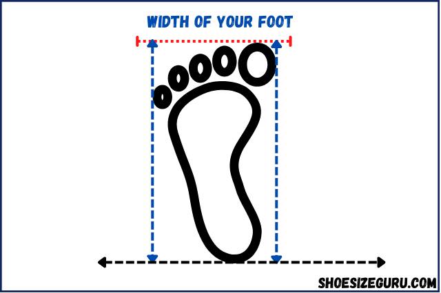 foot length and shoe size